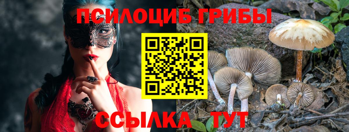 Белово  Галлюциногенные грибы мицелий  Вход с VPN 
